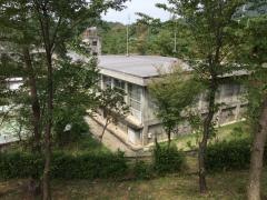 緑苑小学校
