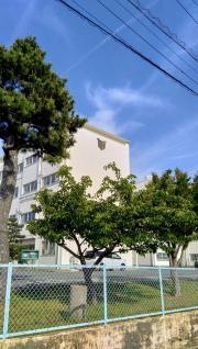 豊橋市立高師台中学校
