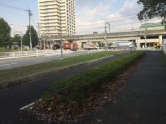 汐止街園