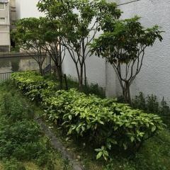 鶉橋北街園