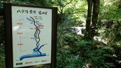 八重滝