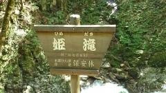 八重滝