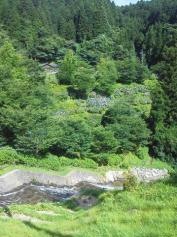 白糸の滝
