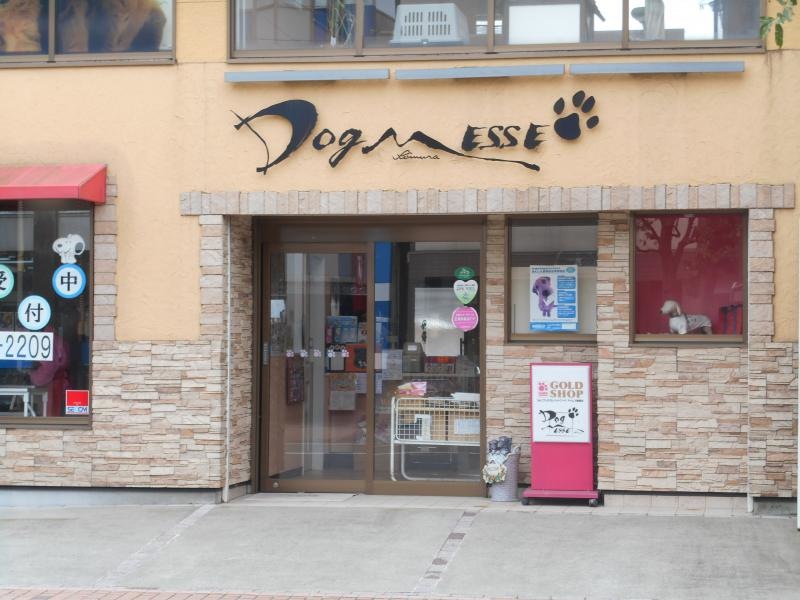 ＤＯＧＭＥＳＳＥｋｉｍｕｒａ