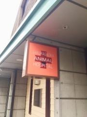 桜丘動物病院