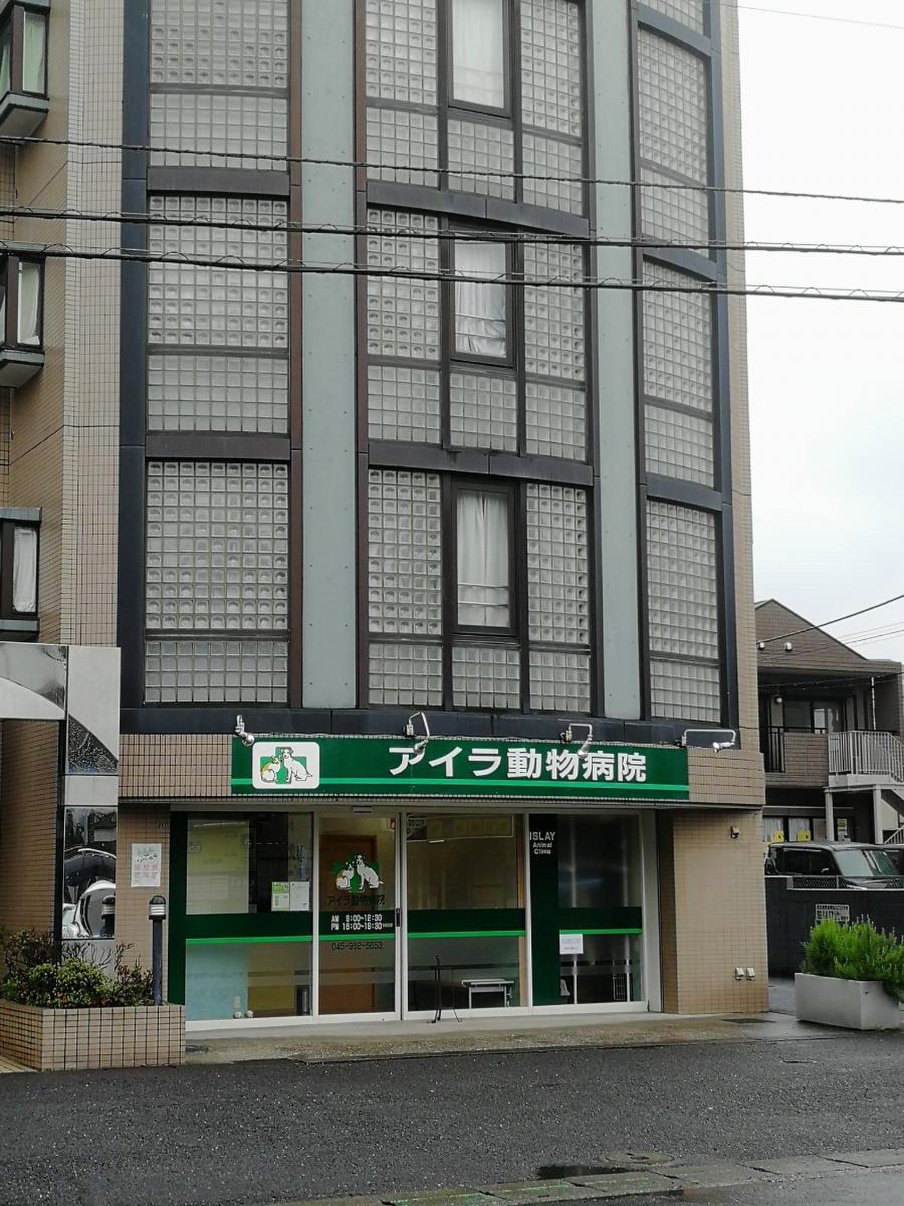 アイラ 動物 病院