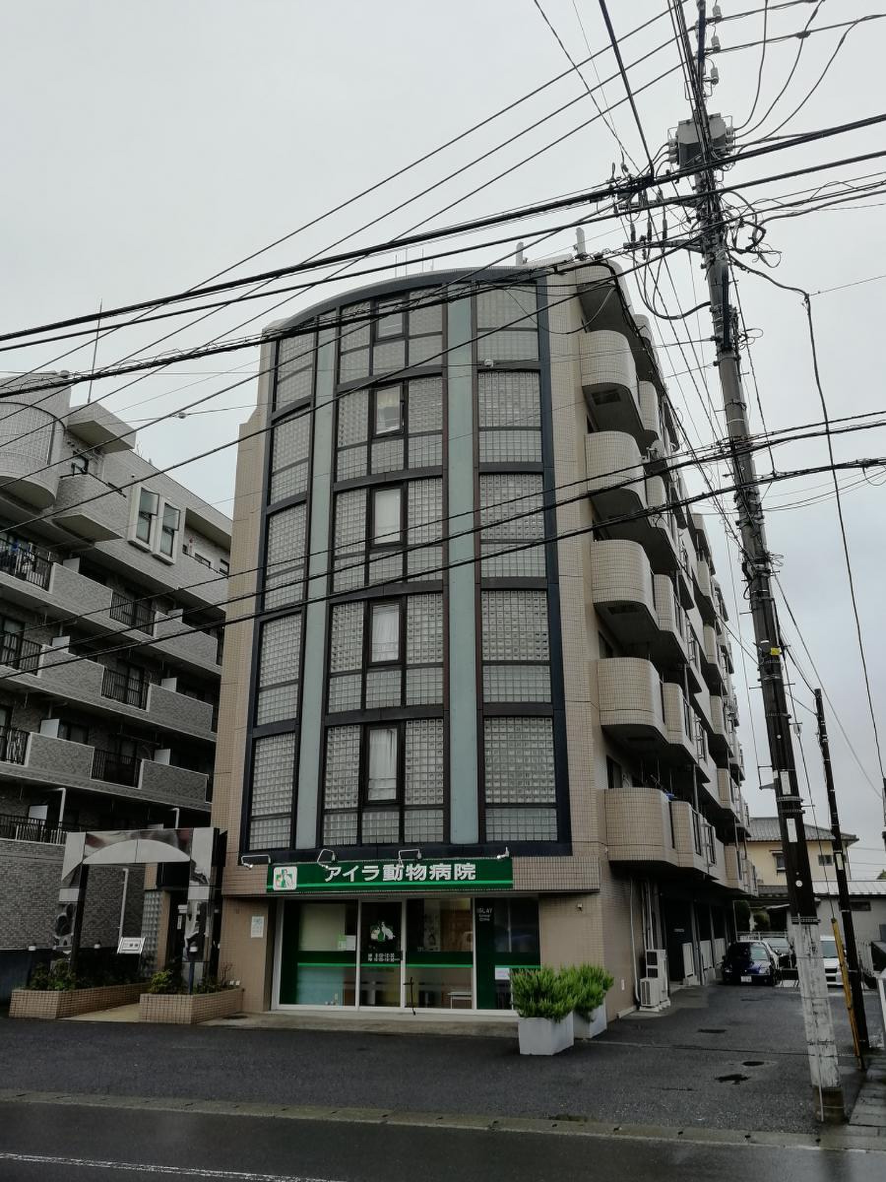 アイラ 動物 病院