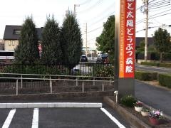 空と太陽どうぶつ病院