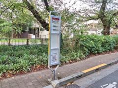 「桜二の橋」バス停留所