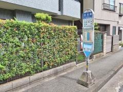 「江川町」バス停留所