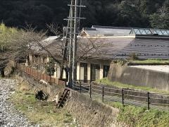 ささゆりの家