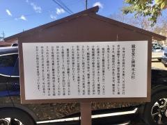 観音寺