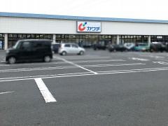 カワチ薬品　水沢北店