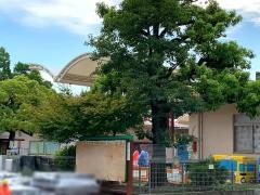 愛知教育大学附属幼稚園