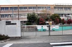 大泉小学校