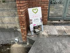 カイロセラピーハートリーフ