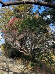 医王寺庭園