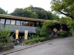 日帰り温泉岩風呂　　金泉の湯