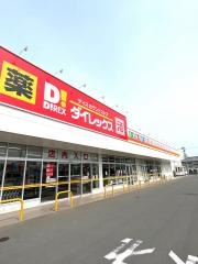 ダイレックス諫早幸町店