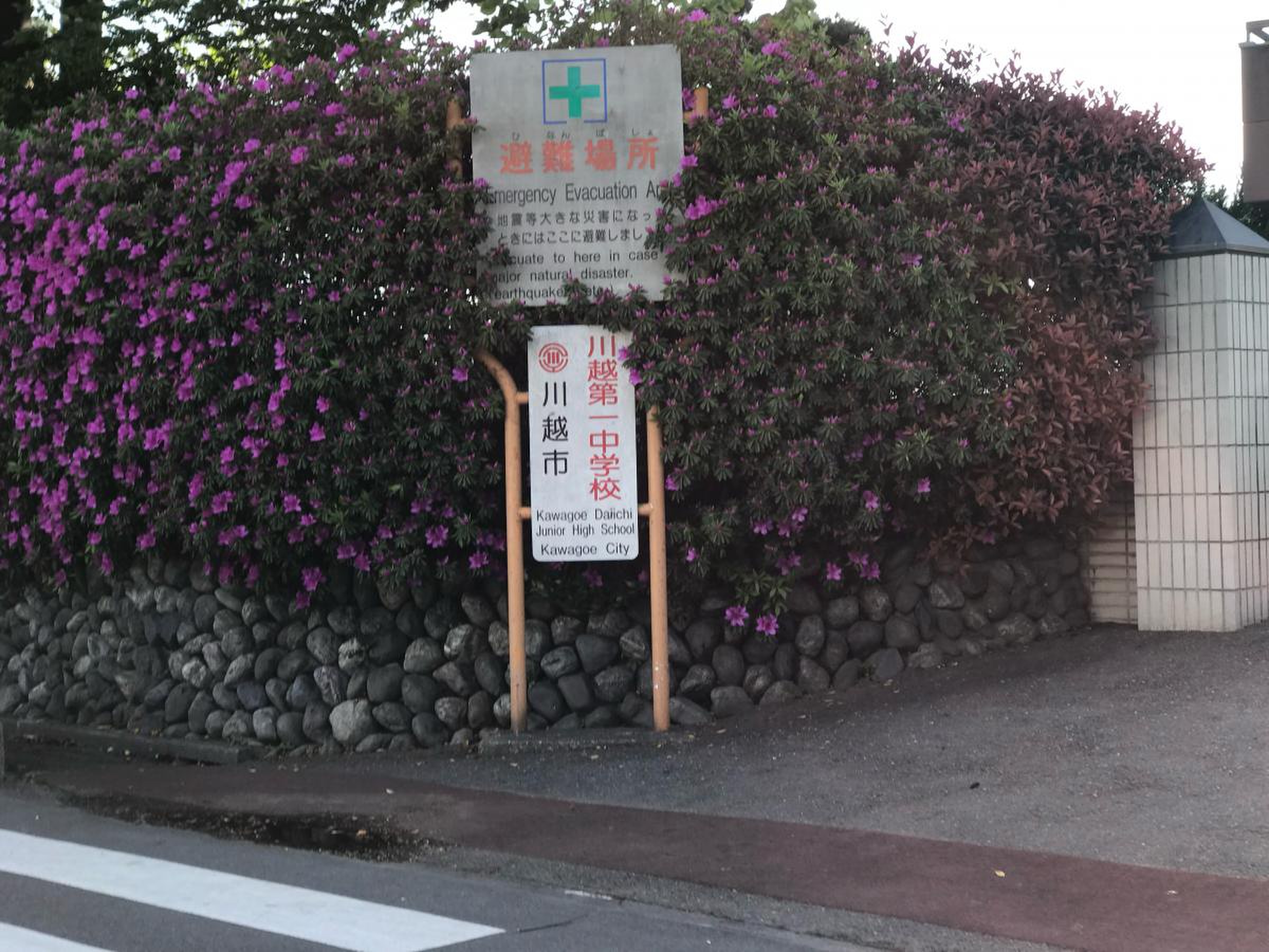 公の場での発言・インタビュー報道記録