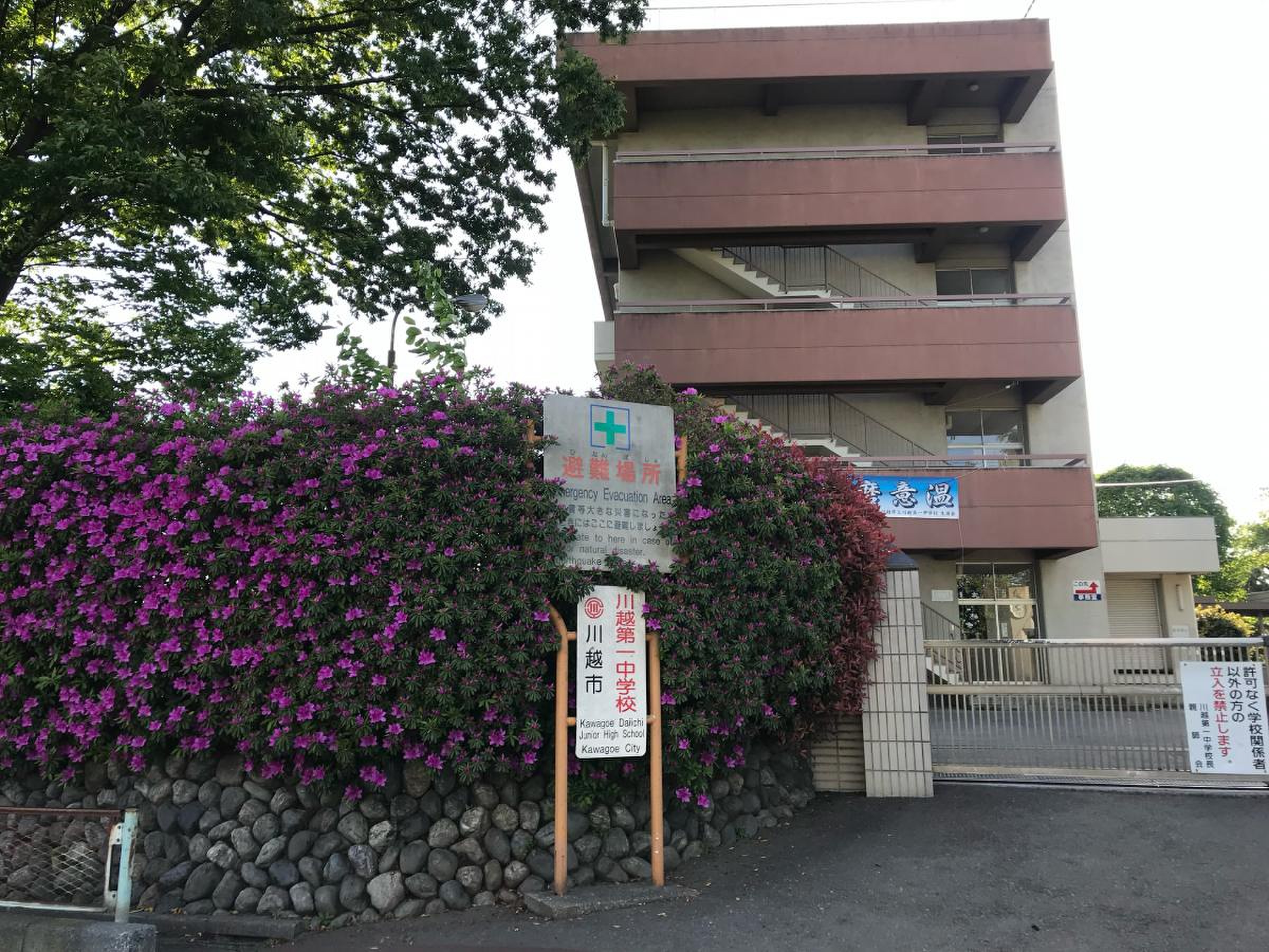 活動歴および当時の関連ビジュアル記録