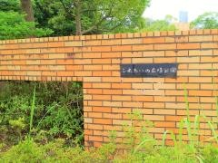 あすみが丘ふれあいの広場公園