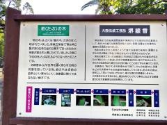 戎公園（ザビエル公園）