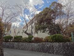 榛原小学校