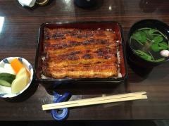うなぎ魚政