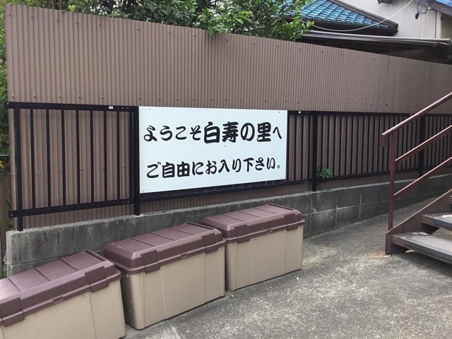 白寿の里