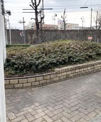 流町街園