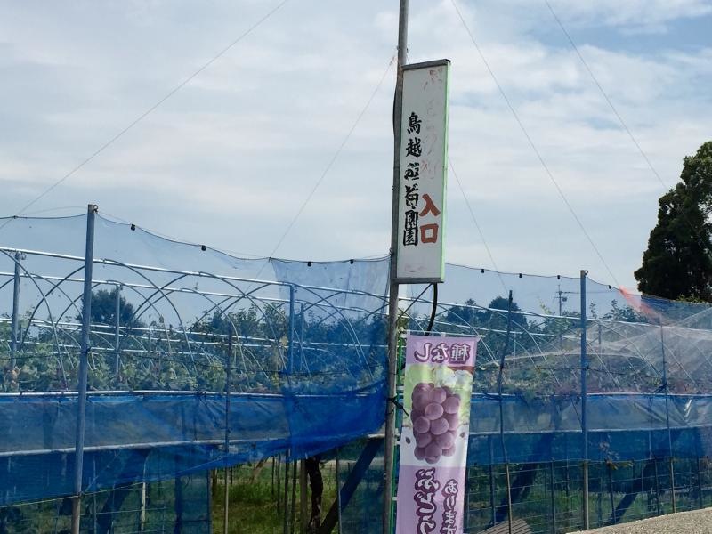 鳥越農場 ぶどう園外観