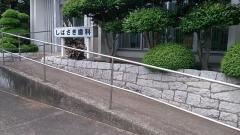 柴崎歯科医院