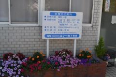 圓歯科医院