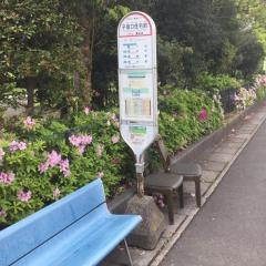 「子母口住宅前」バス停留所