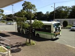 「かもめふ頭」バス停留所