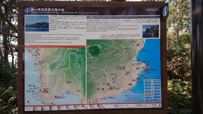 旅探 たびたん 城ヶ崎海岸 伊東市その他の地域