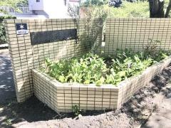 歴史の里