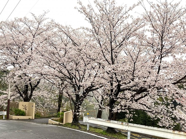 歴史の里 雰囲気