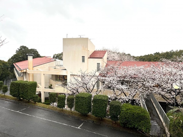 歴史の里 雰囲気