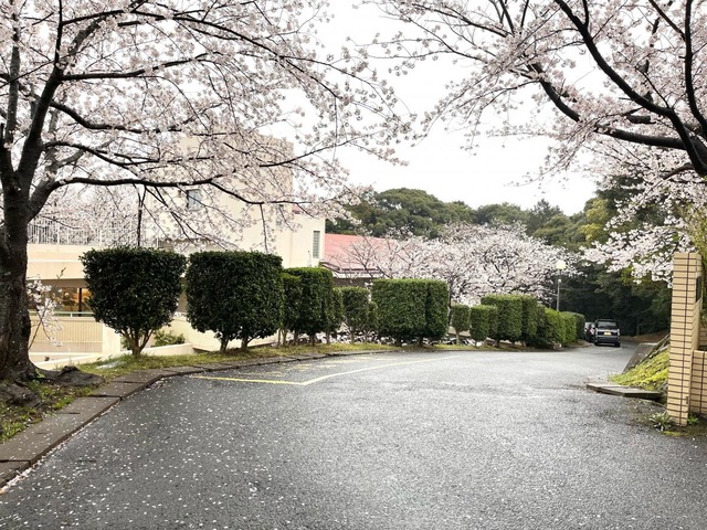 歴史の里 雰囲気