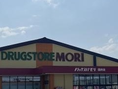 ドラッグストアモリ国府店
