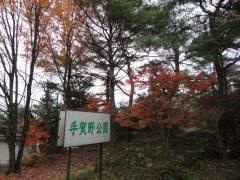手賀野公園