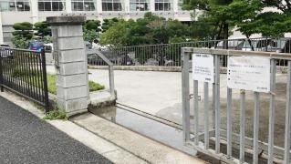 泉小学校