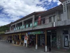 道の駅　おおぎみ