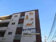 アヤペット
