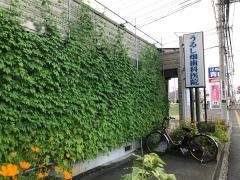 うるし畑歯科医院