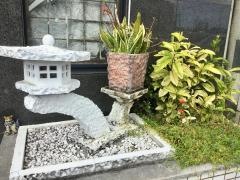 枝