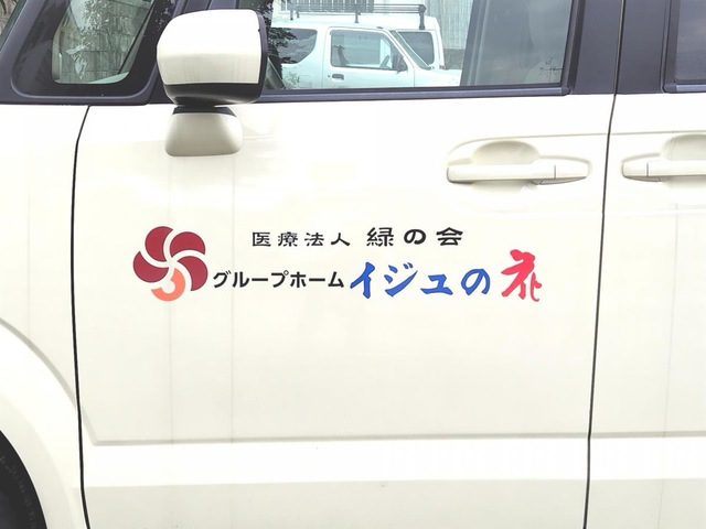 イジュの花