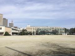 千石小学校